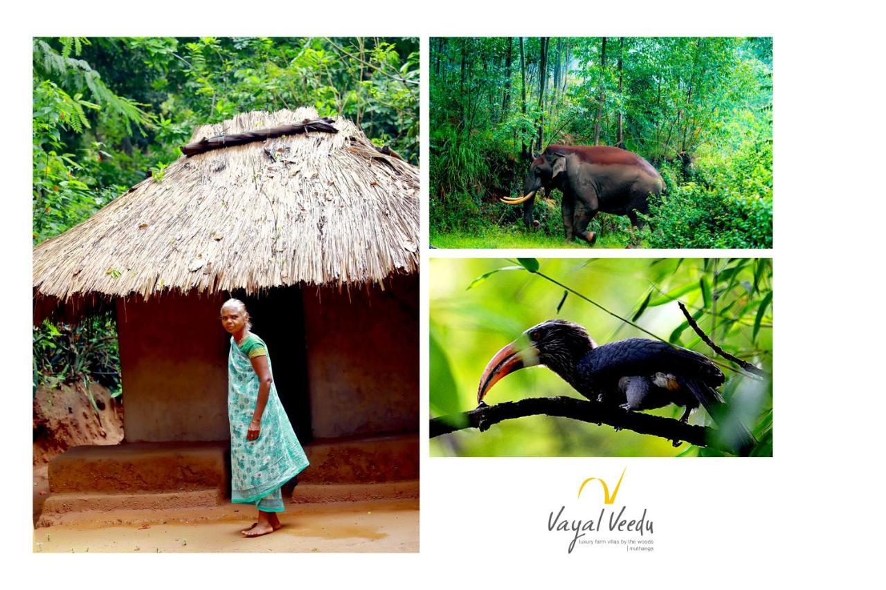 Vayal Veedu - Luxury Farm Villas By The Woods Muthanga Exteriör bild
