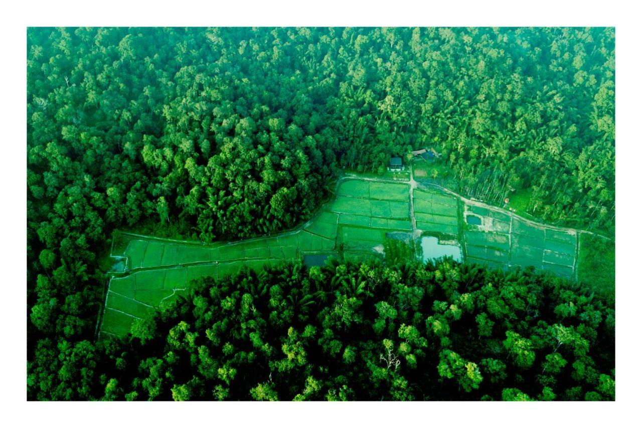 Vayal Veedu - Luxury Farm Villas By The Woods Muthanga Exteriör bild