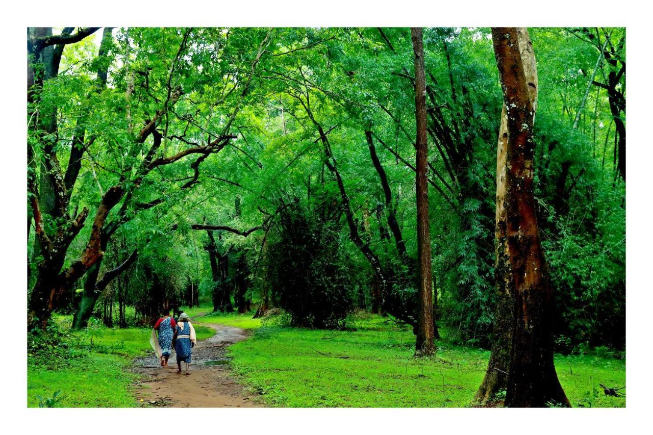 Vayal Veedu - Luxury Farm Villas By The Woods Muthanga Exteriör bild